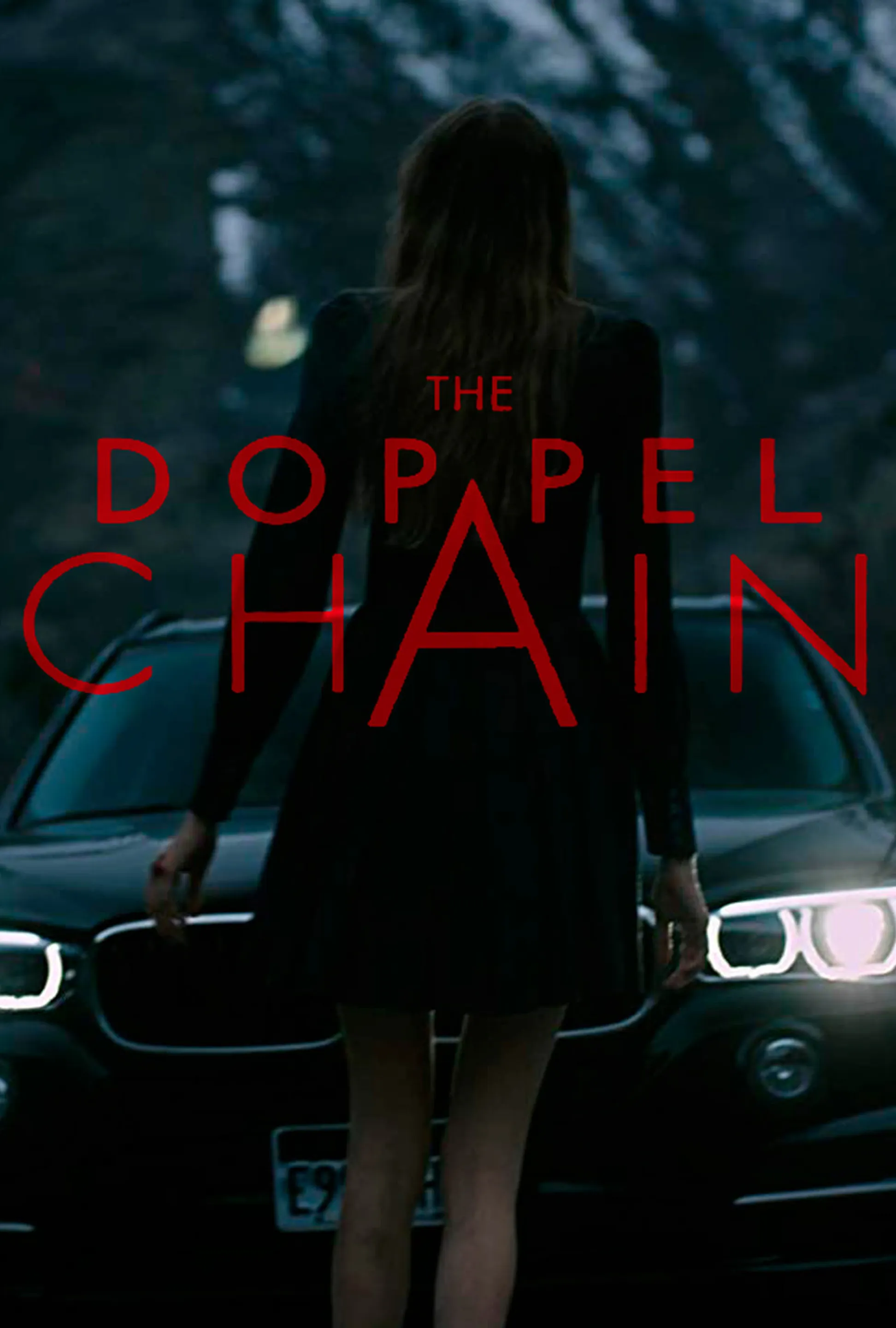 постер The Doppel Chain